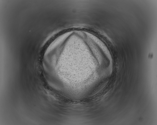 X0000091981256200710041102