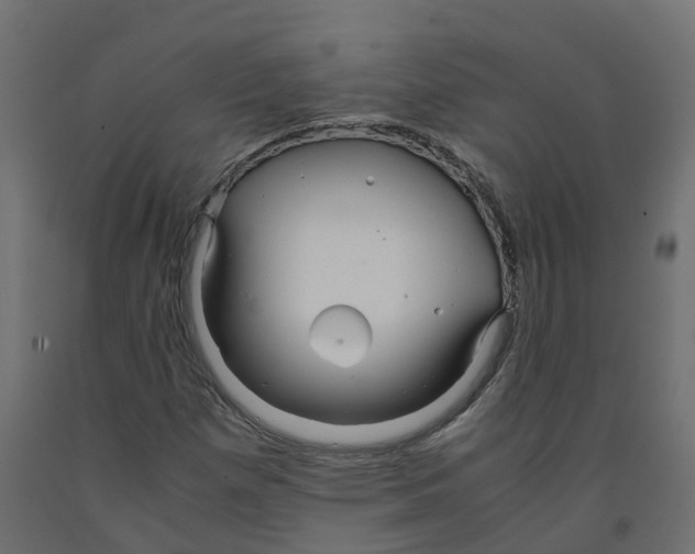 X0000091981257200710041102