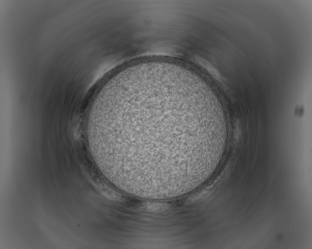 X0000091981258200710041102