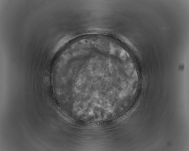 X0000091981259200710041102