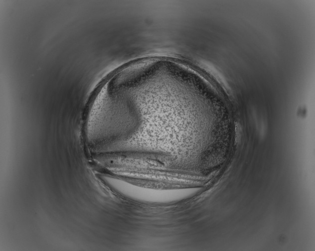 X0000091981260200710041102