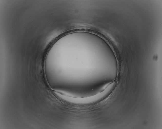 X0000091981261200710041102