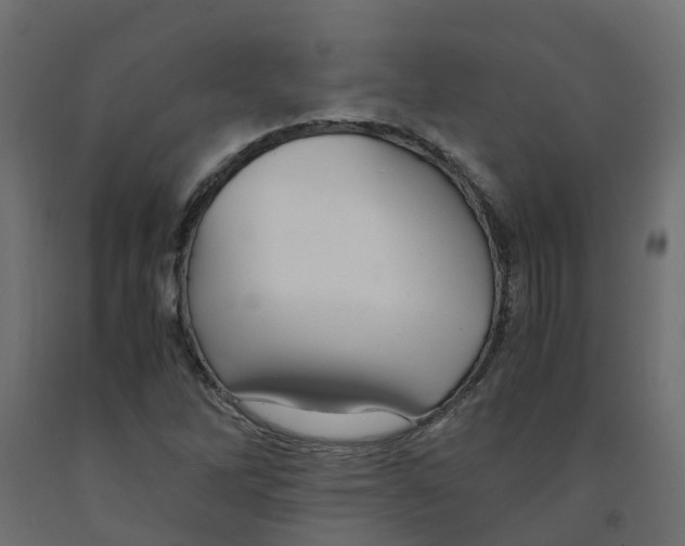 X0000091981262200710041102