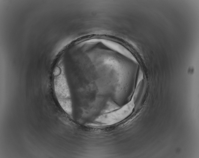 X0000091981263200710041102