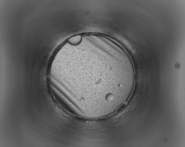 X0000091981264200710041102