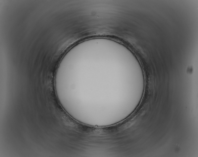 X0000091981265200710041102