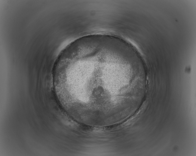 X0000091981267200710041102