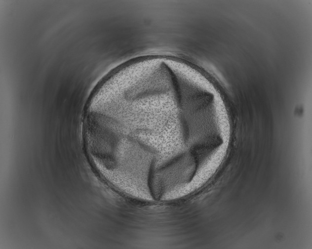 X0000091981268200710041102