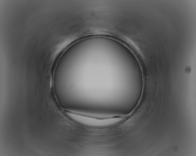 X0000091981269200710041102