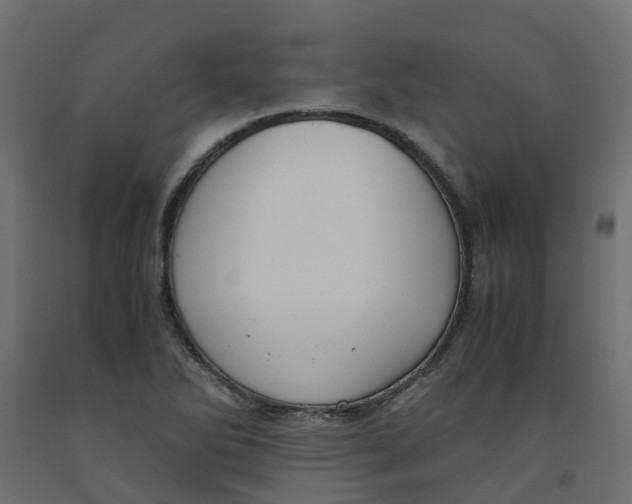 X0000091981270200710041102