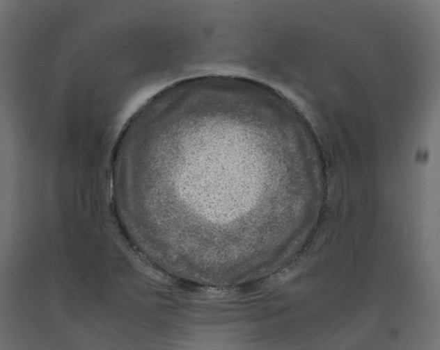 X0000091981271200710041102