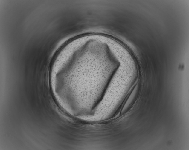 X0000091981272200710041102