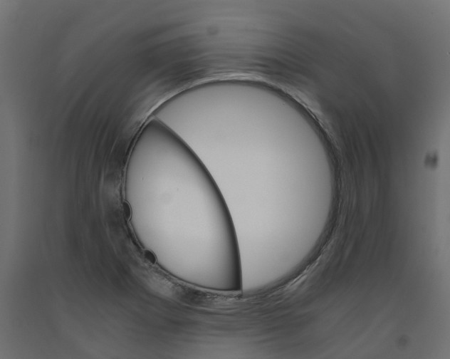 X0000091981273200710041102