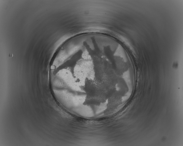 X0000091981275200710041102