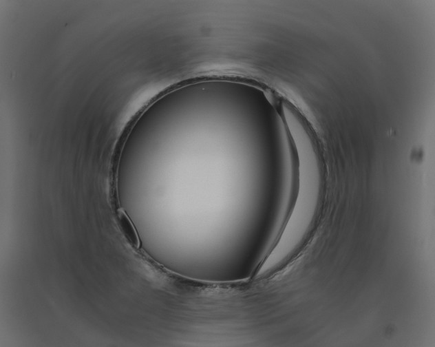 X0000091981277200710041102