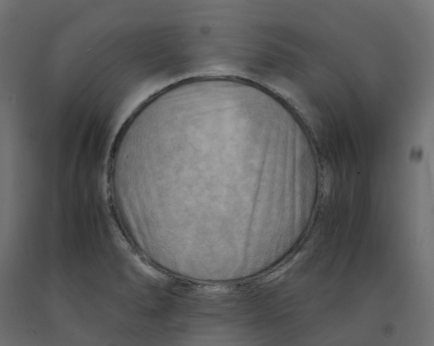 X0000091981278200710041102