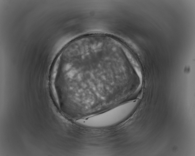 X0000091981279200710041102