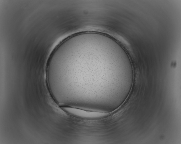 X0000091981280200710041102