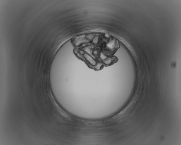 X0000091981281200710041102