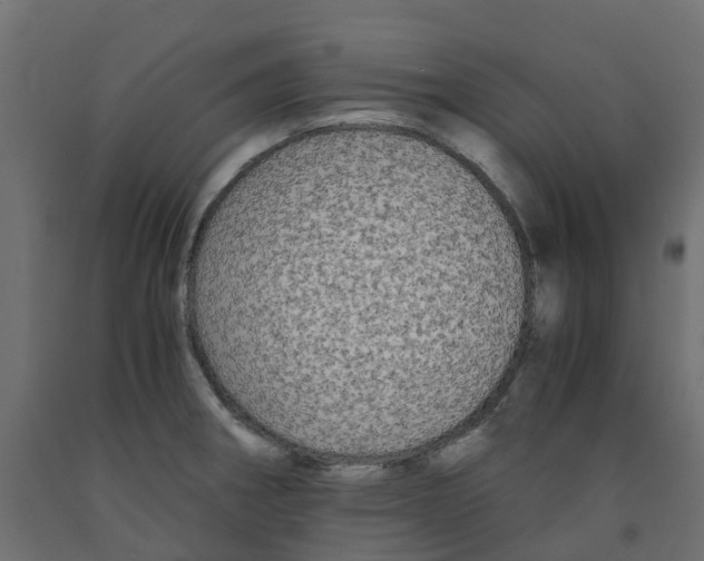 X0000091981282200710041102