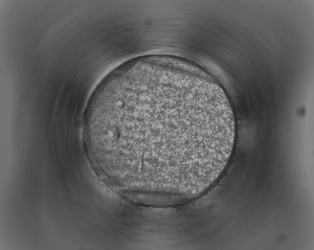 X0000091981284200710041102