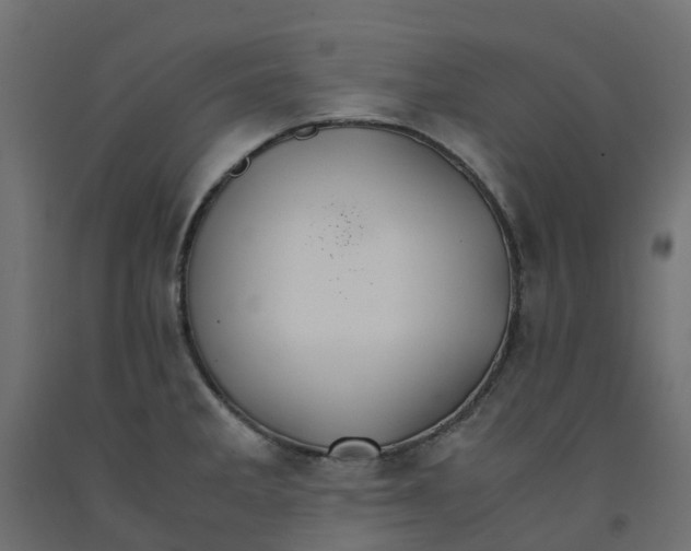X0000091981285200710041102