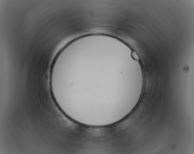 X0000091981286200710041102