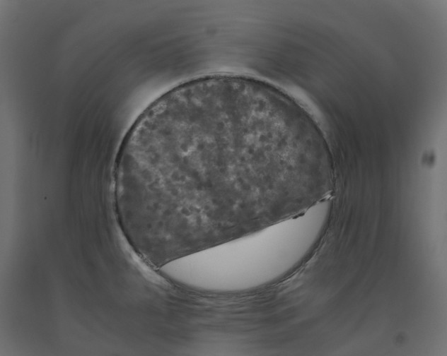 X0000091981287200710041102