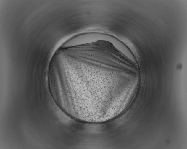 X0000091981288200710041102
