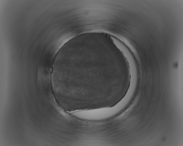 X0000091981289200710041102