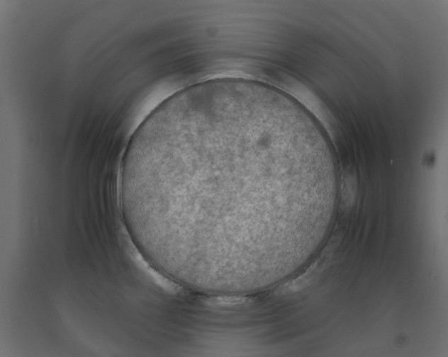 X0000091981290200710041102
