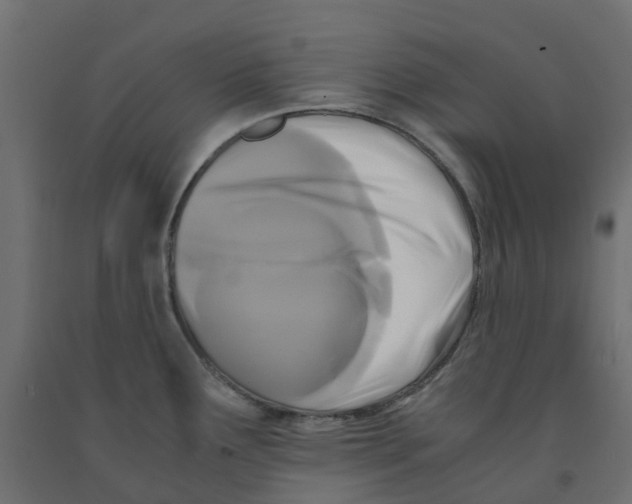 X0000091981291200710041102