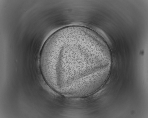 X0000091981292200710041102