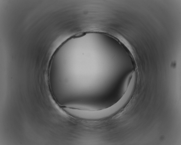 X0000091981293200710041102