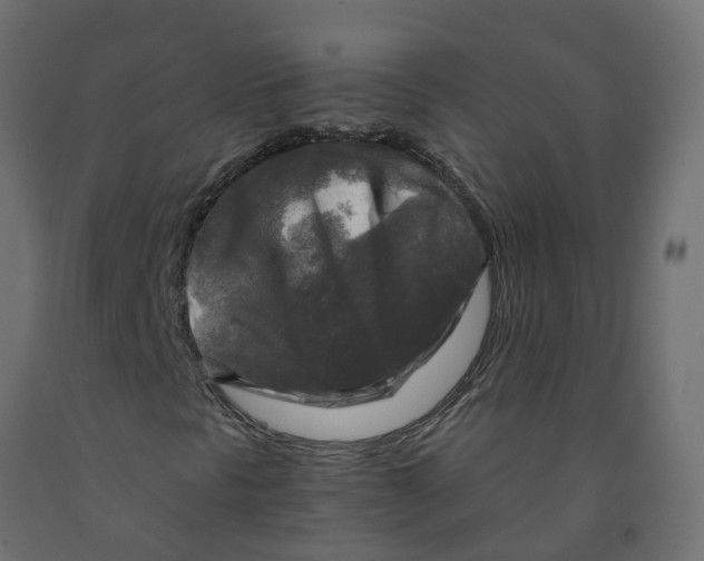 X0000091981297200710041101