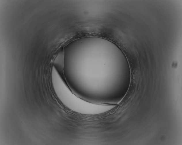 X0000091981298200710041101