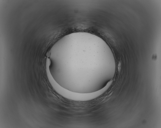 X0000091981299200710041101