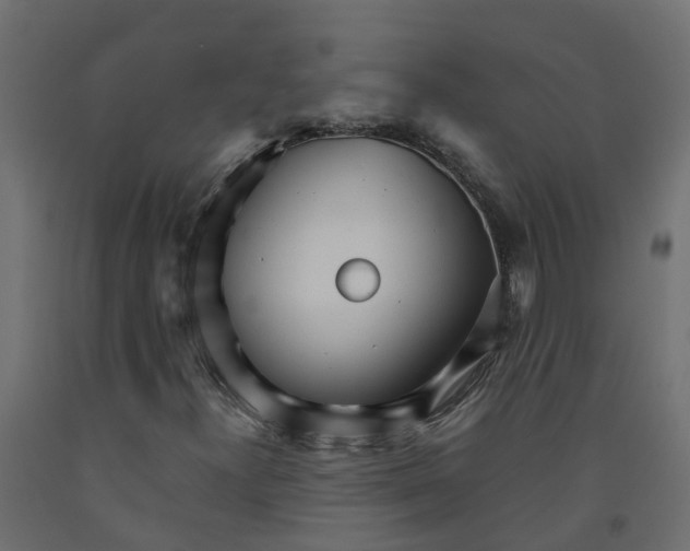 X0000091981300200710041101