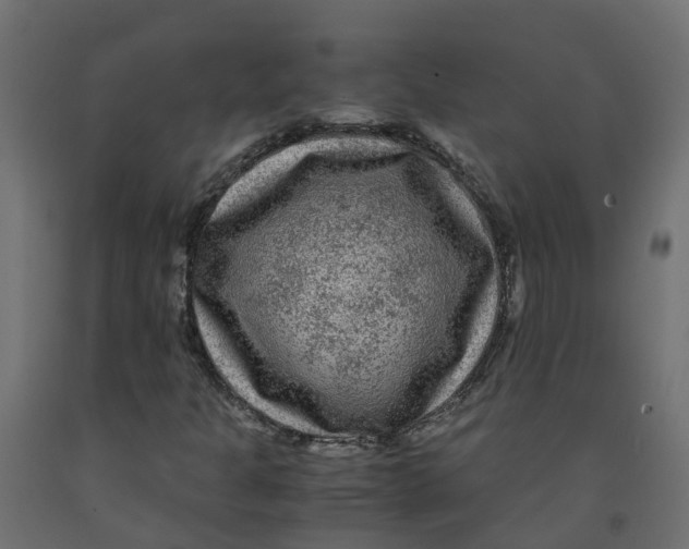 X0000091981301200710041101