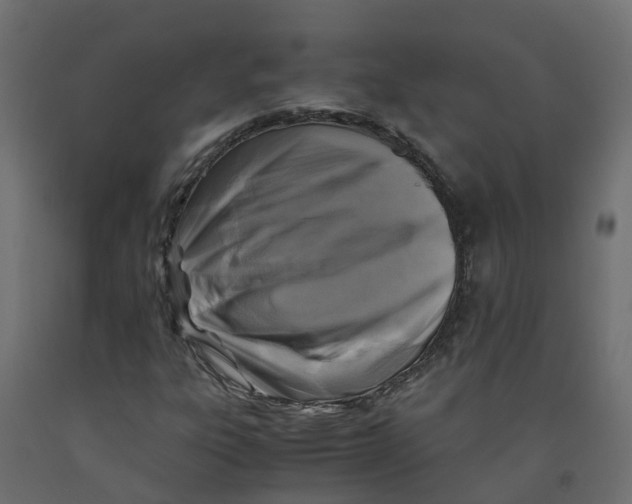 X0000091981303200710041101