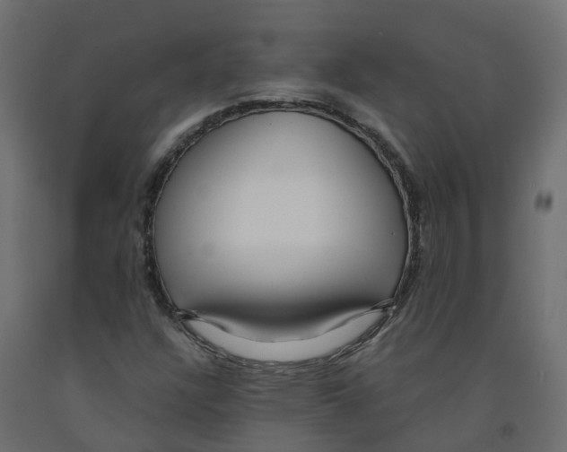 X0000091981304200710041101