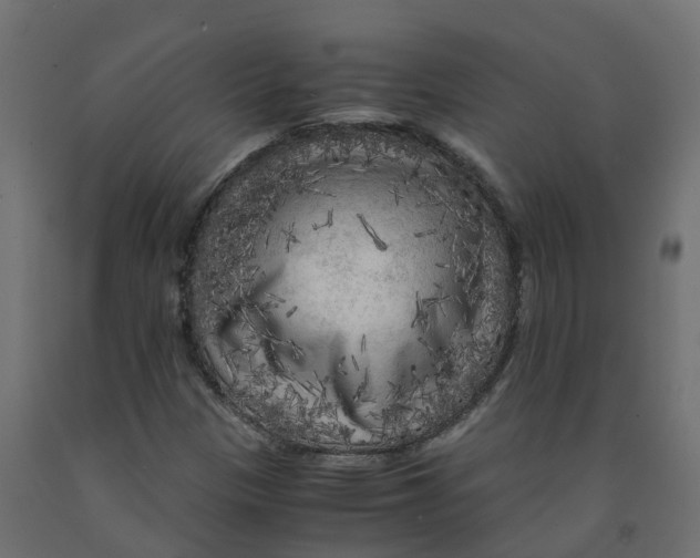 X0000091981305200710041101