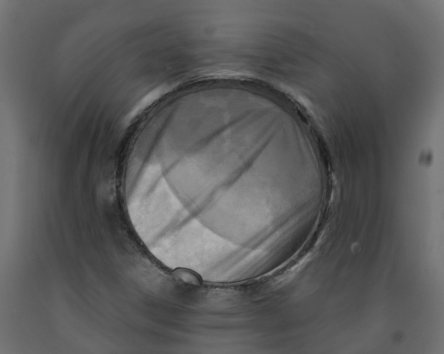 X0000091981306200710041101