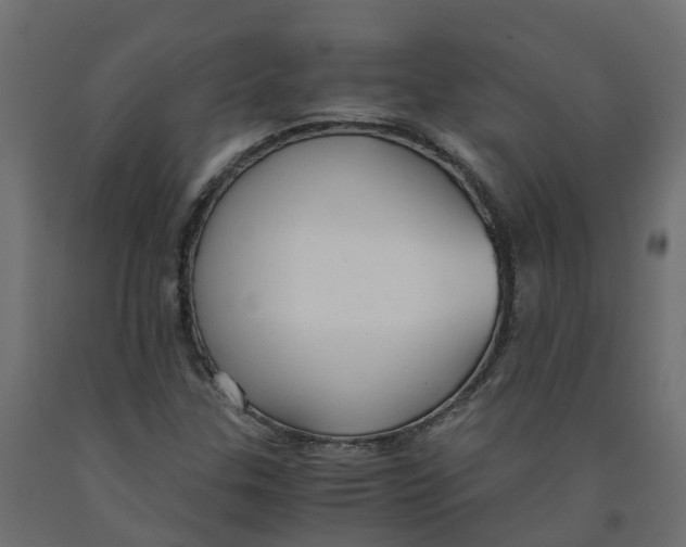 X0000091981307200710041101