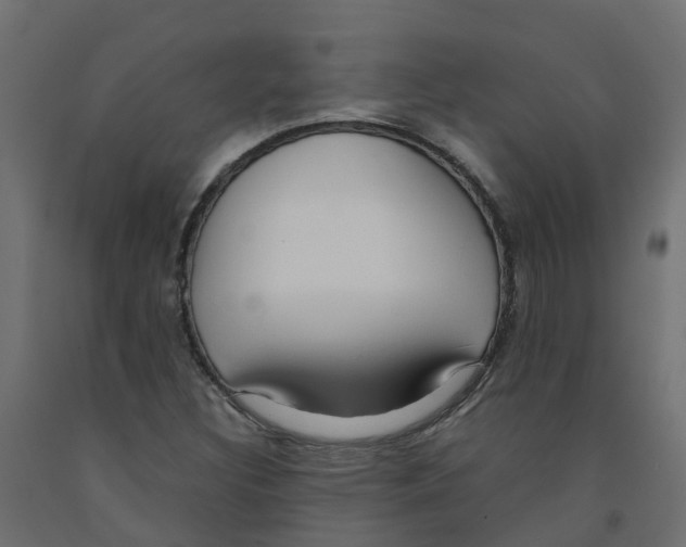 X0000091981308200710041101