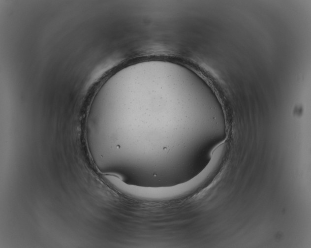 X0000091981309200710041101