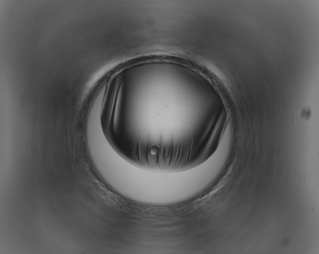 X0000091981310200710041101
