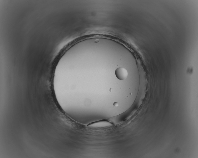 X0000091981312200710041102