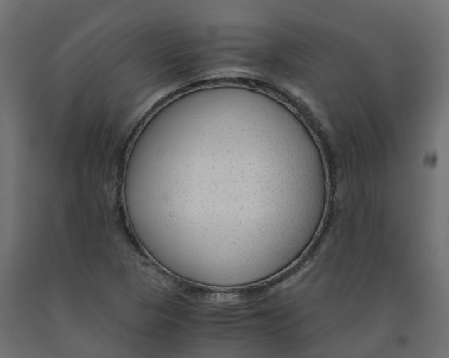 X0000091981313200710041102