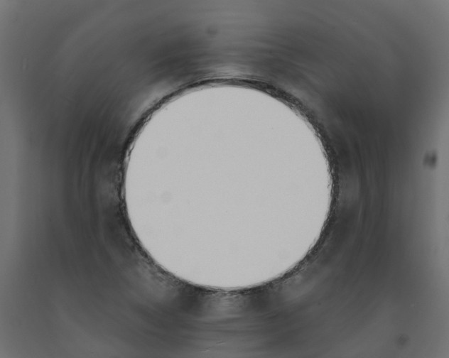 X0000091981314200710041102